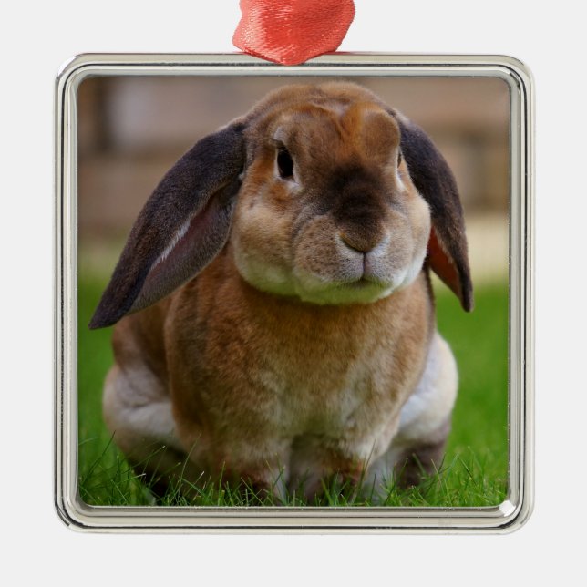 Ornamento De Metal Velveteen Lop Bunny Rabbit (Frente)