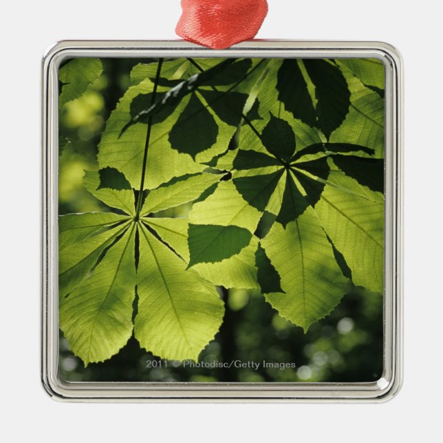 Ornamento De Metal Verde sete folhas do ponto com iluminação de Sun (Frente)