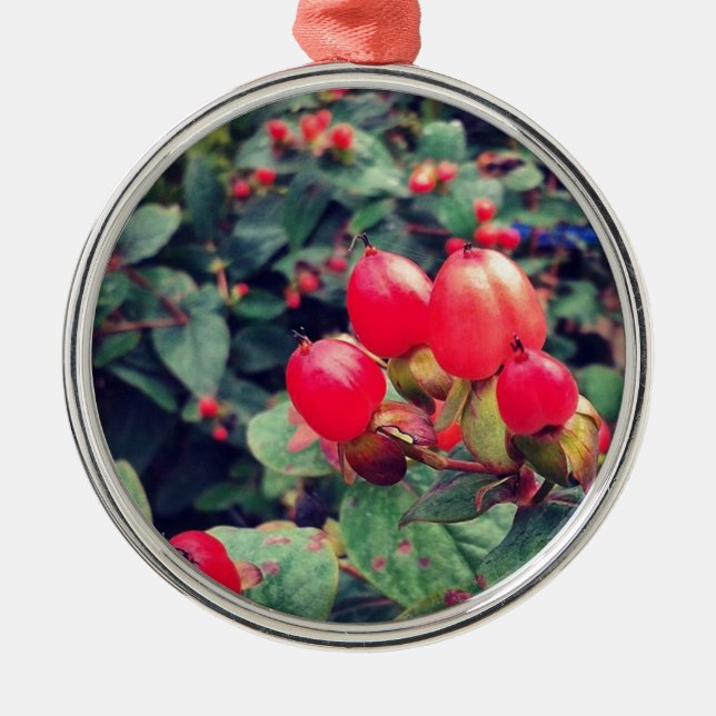 Ornamento De Metal Vermelho (Frente)