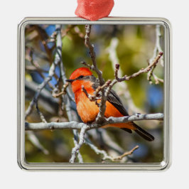 Ornamento De Metal Vermilo Flycatcher