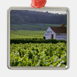 Ornamento De Metal vinhedo Chambertin Clos de Beze Grand Cru com