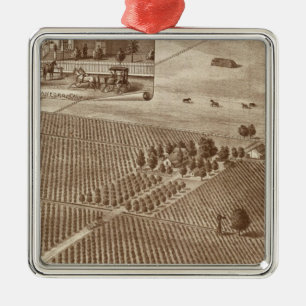 Ornamento De Metal Vinhedo sem par, Hanford, Cal