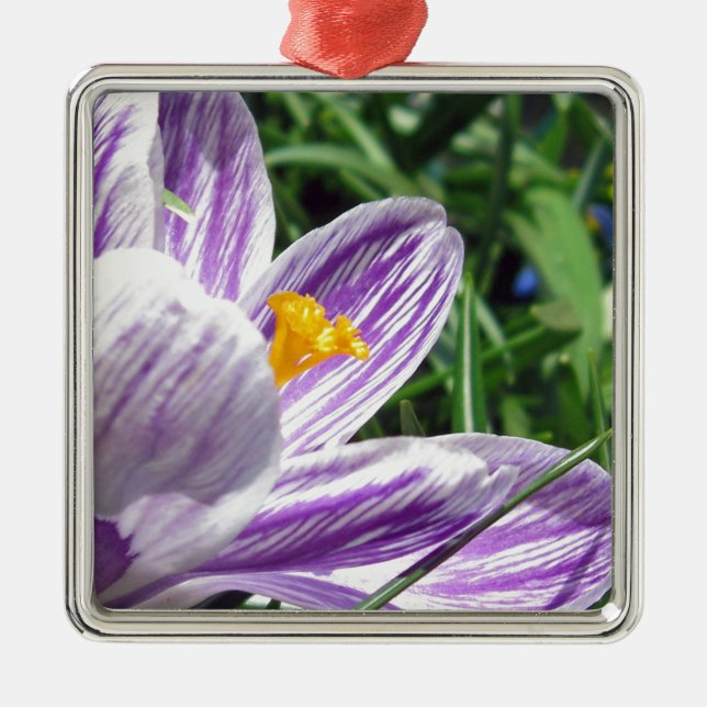 Ornamento De Metal Violet Primavera Crocus (Frente)