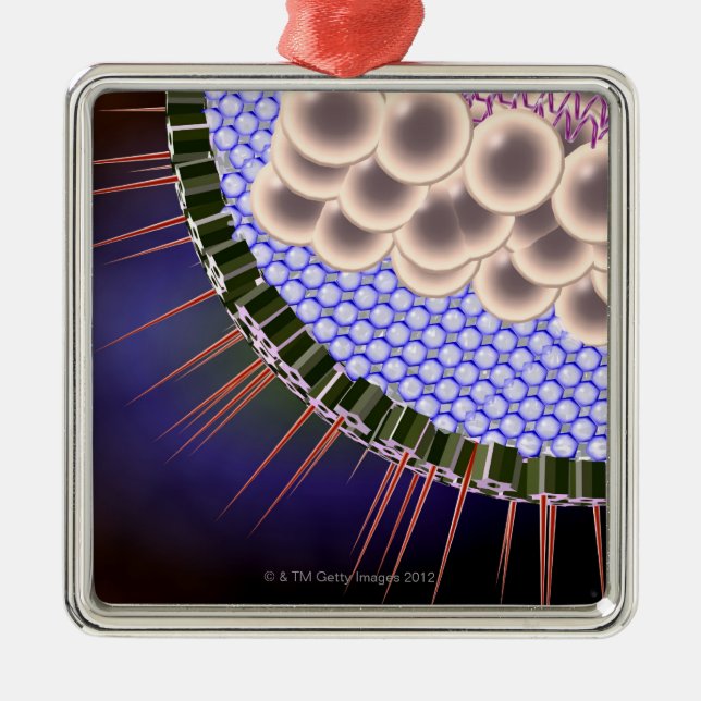 Ornamento De Metal Vírus de herpes (Frente)