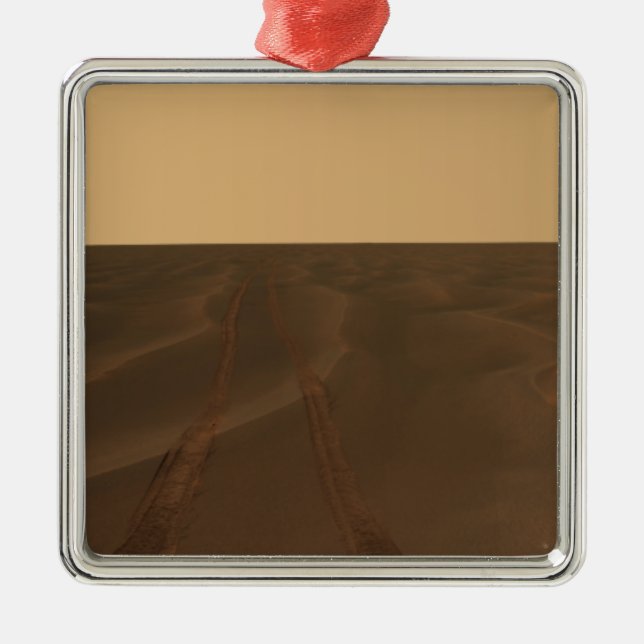 Ornamento De Metal Visão panorâmica das planícies de Meridiani (Frente)