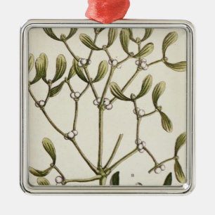 Ornamento De Metal Visco "de um erval curioso", 1782