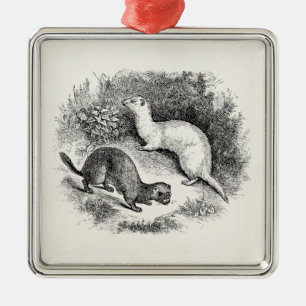 Ornamento De Metal Visons da doninhas das doninhas dos 1800s da