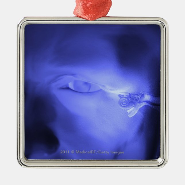 Ornamento De Metal Vista dianteira da orelha interna (Frente)