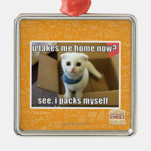 Ornamento De Metal Você me leva para casa agora?