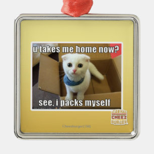 Ornamento De Metal Você me leva para casa agora?