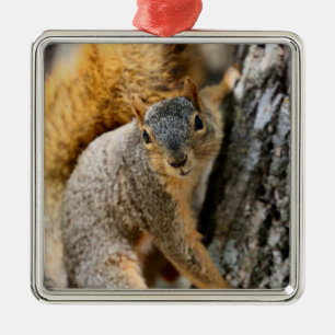 Ornamento De Metal Você não vem?