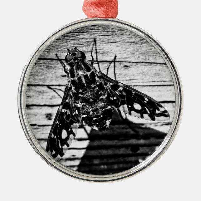 Ornamento De Metal volta (Frente)
