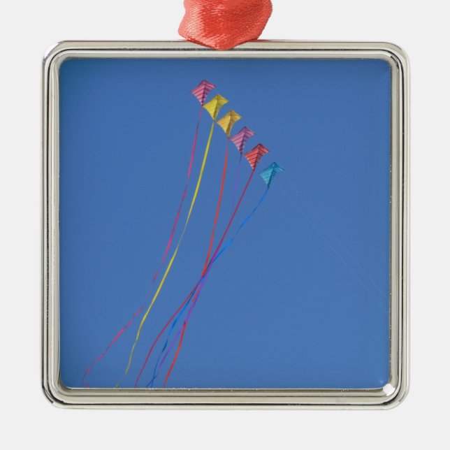 Ornamento De Metal Vôo do papagaio do conluio no céu (Frente)