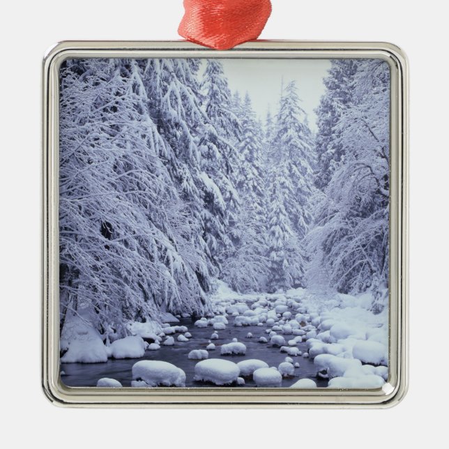 Ornamento De Metal WA, Floresta Nacional Monte Baker-Snoqualmie, (Frente)