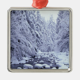 Ornamento De Metal WA, Floresta Nacional Mount Baker-Snoqualmie,
