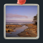 Ornamento De Metal WA, Olimpiadas NP, Kalaloch Beach e Kalaloch<br><div class="desc">COPYRIGHT Jamie & Judy Wild / DanitaDelimont.com| US48 JWI1316.jpg| WA,  Olimpiadas NP,  Kalaloch Beach e Kalaloch Creek</div>