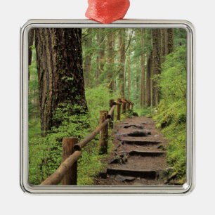 Ornamento De Metal WA, Parque Nacional Olímpico, Vale de Sol Duc, flo