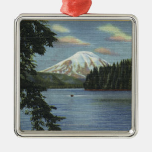 Ornamento De Metal Washington - vista do St. do Mt.