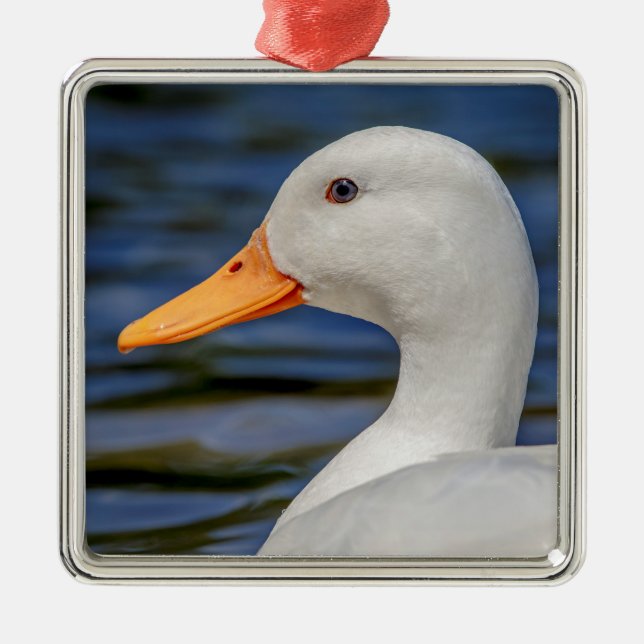 Ornamento De Metal White Mallard Duck (Frente)