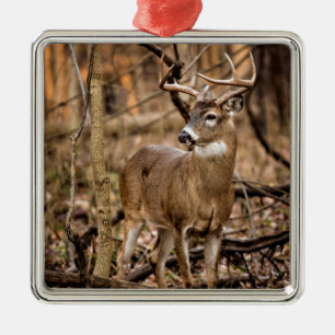 Ornamento De Metal White Tail Deer Buck