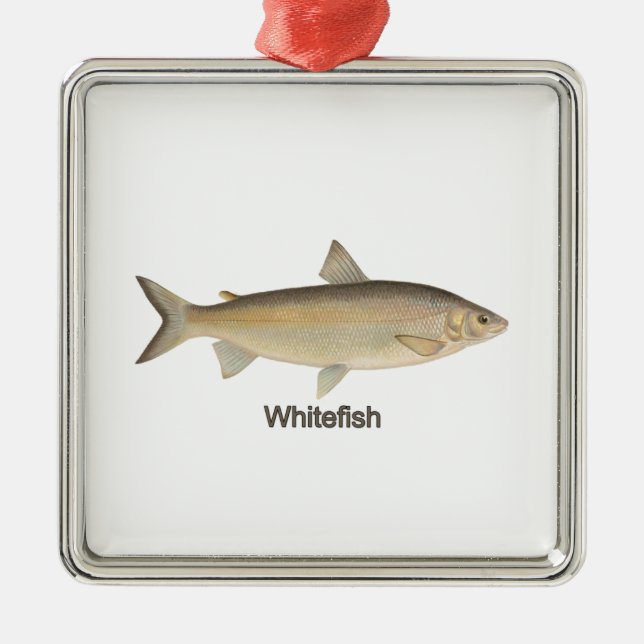 Ornamento De Metal Whitefish (Frente)