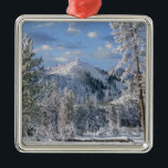 Ornamento De Metal Winter in Yellowstone National Park, Wyoming<br><div class="desc">Winter in Yellowstone National Park,  Wyoming EUA � Tim Fitzharris / DanitaDelimont.com</div>
