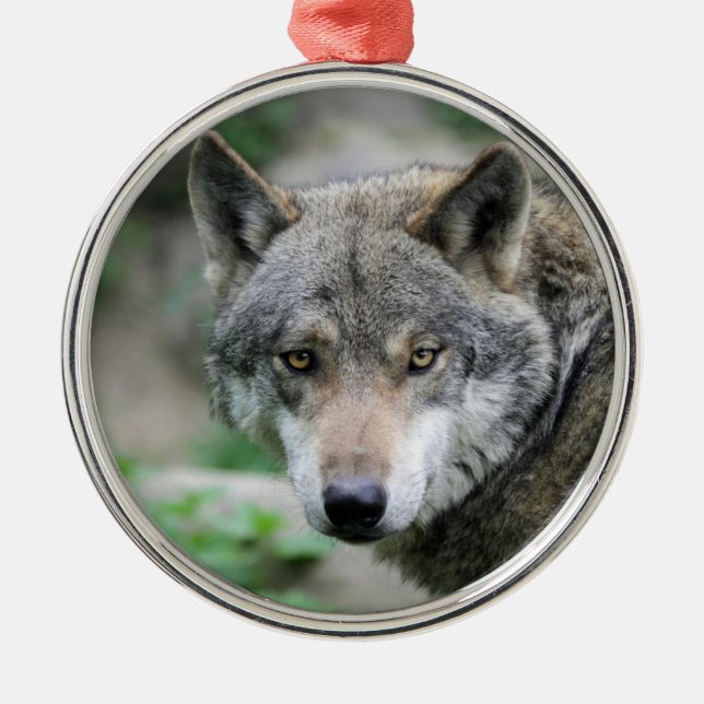 Ornamento De Metal Wolf_011 (Frente)