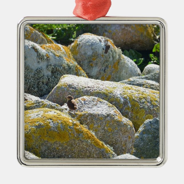 Ornamento De Metal Wren (Frente)