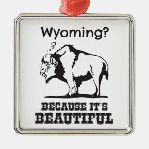 Ornamento De Metal Wyoming? Porque é bonito