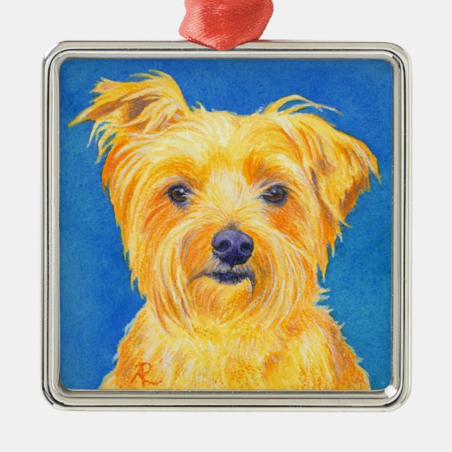 Ornamento De Metal Yorkshire Terrier Ornament - "Sammy" (Frente)
