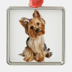 Ornamento De Metal Yorkshire Terrier Puppy
