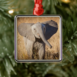 Ornamento De Metal Young Bush Elephant