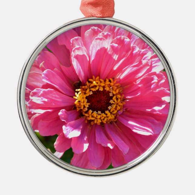 Ornamento De Metal Zinnia Rosa (Frente)