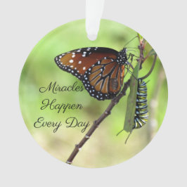 Ornamento de milagres- Borboleta / Lagarta-Acrílic