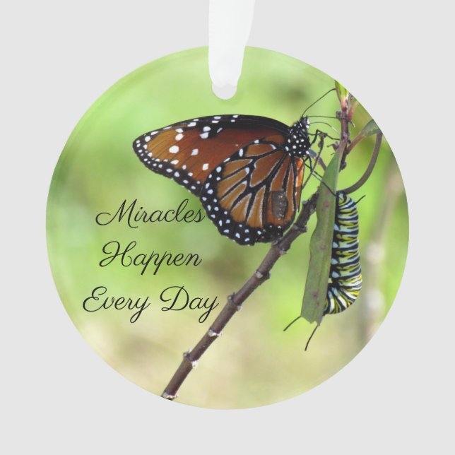 Ornamento de milagres- Borboleta / Lagarta-Acrílic (Frente)