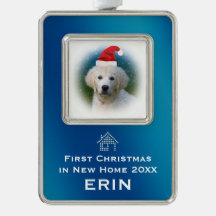 Primeiro Natal do azul na foto nova do animal de