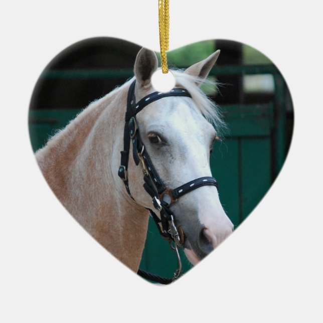 Ornamento de Paso Fino do Palomino (Frente)