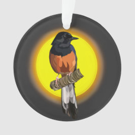 Ornamento de Pássaros Shama com Ruptura Branca