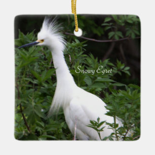 Ornamento de Pássaros Snowy Egret