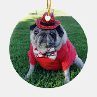 Ornamento de picles vermelhos