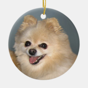 Ornamento de Pomeranian