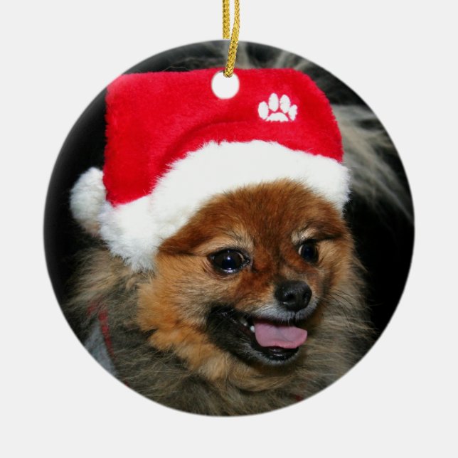 Ornamento de Pomeranian do Natal (Frente)