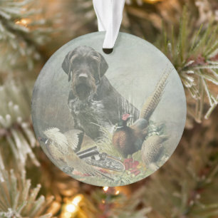 Ornamento de Ponteiro Wirehaired Alemão