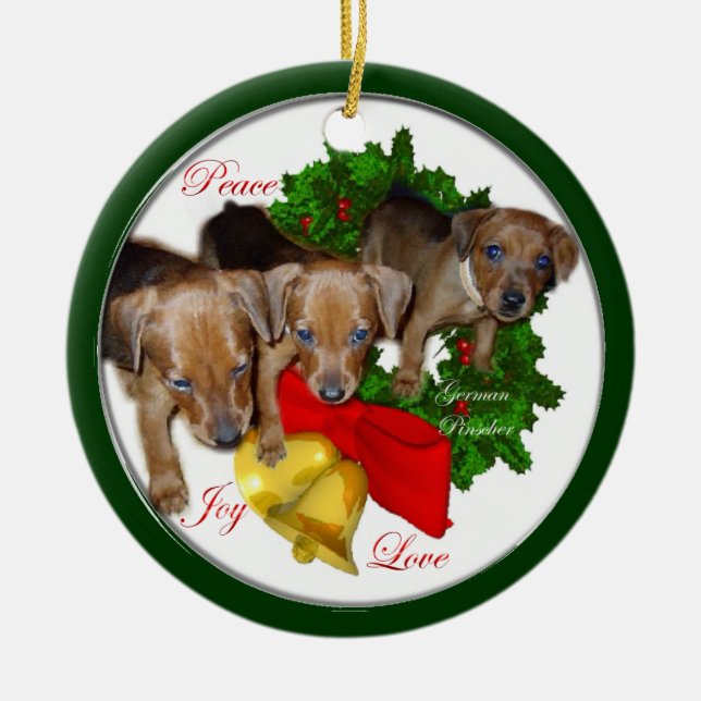 Ornamento de Presentes de Natal de Pinscher Alemão (Frente)