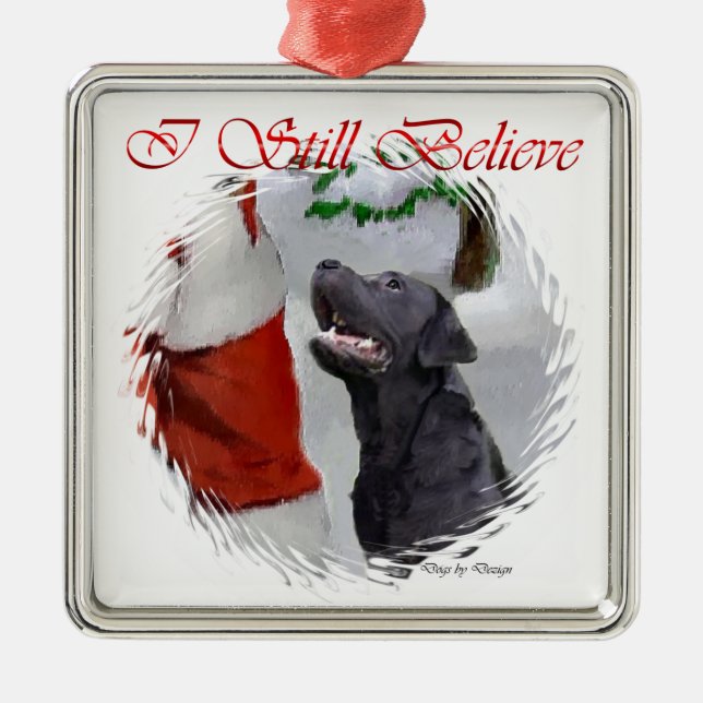 Ornamento de presentes de Natal do Labrador Retrie (Frente)