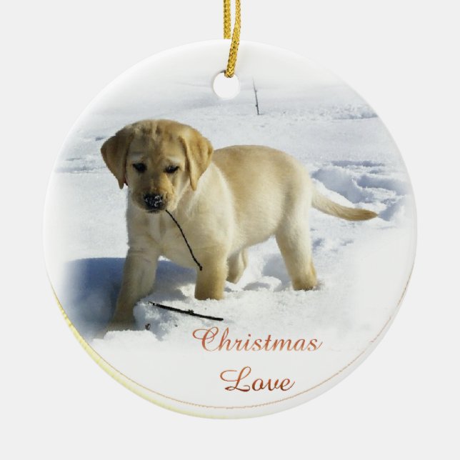 Ornamento de presentes de Natal do Labrador Retrie (Frente)
