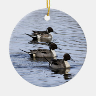 Ornamento de Trio de Pato Pintail