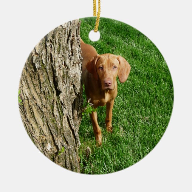 Ornamento de Vizsla (Frente)
