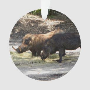 Ornamento de Warthog #1