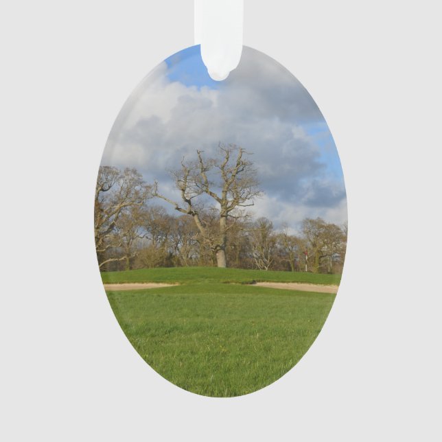 Ornamento Deixe-nos jogar o golfe (Frente)